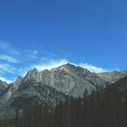 ALFRA